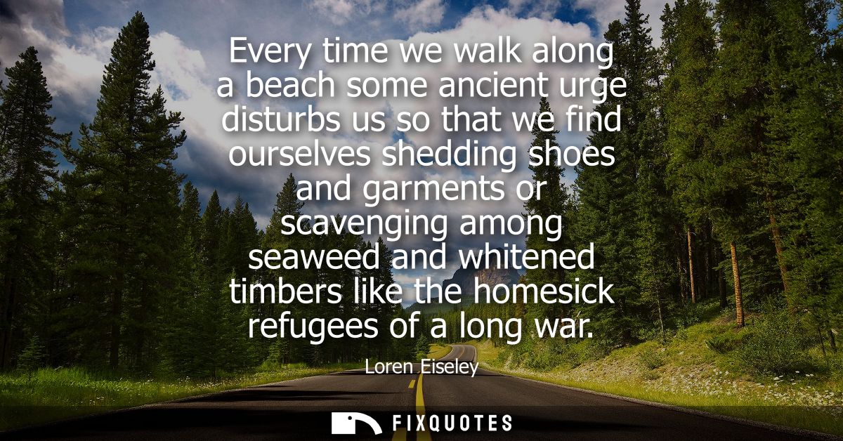Every time we walk along a beach some ancient urge disturbs us so that we find ourselves shedding shoes and garments or 
