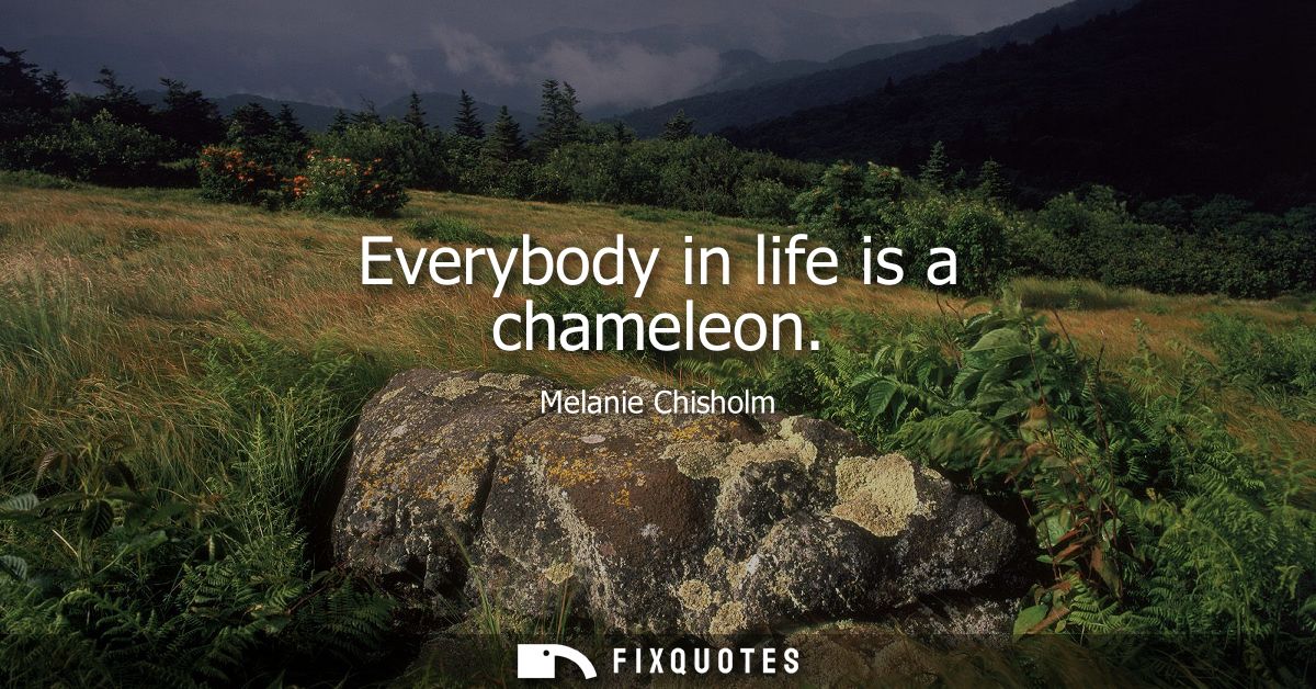 Everybody in life is a chameleon