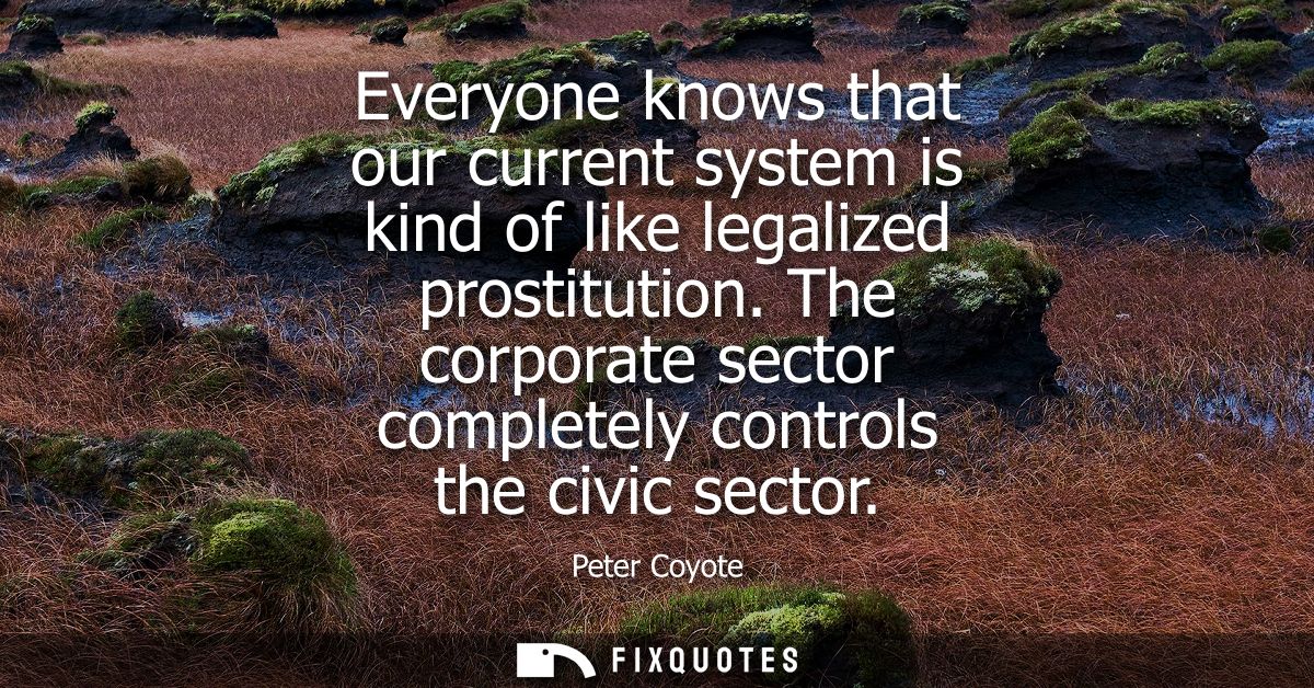 Everyone knows that our current system is kind of like legalized prostitution. The corporate sector completely controls 