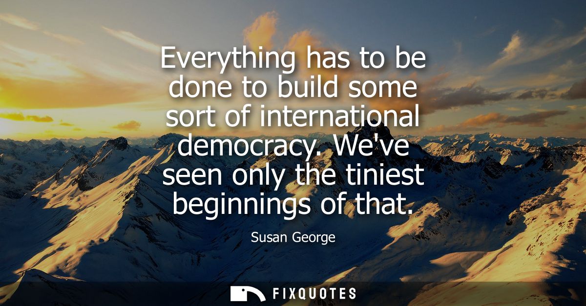Everything has to be done to build some sort of international democracy. Weve seen only the tiniest beginnings of that