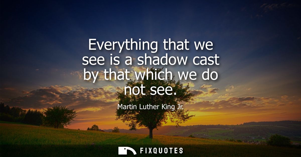 Everything that we see is a shadow cast by that which we do not see