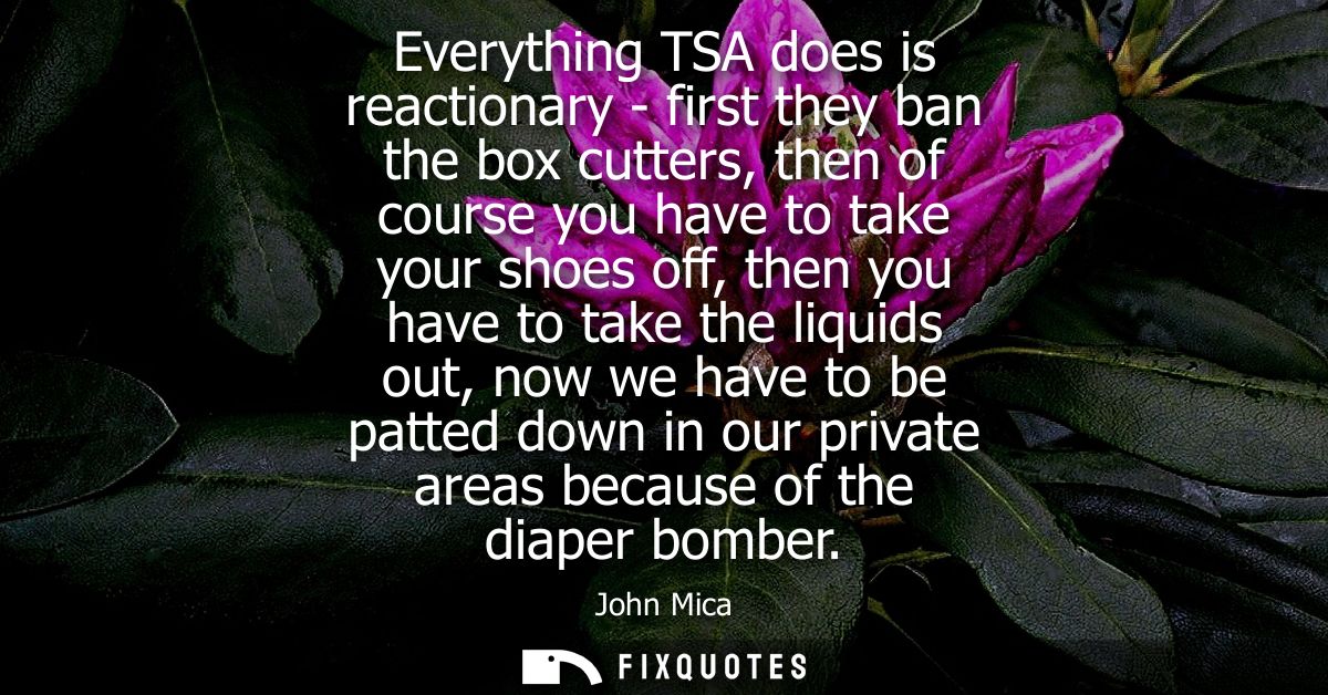 Everything TSA does is reactionary - first they ban the box cutters, then of course you have to take your shoes off, the