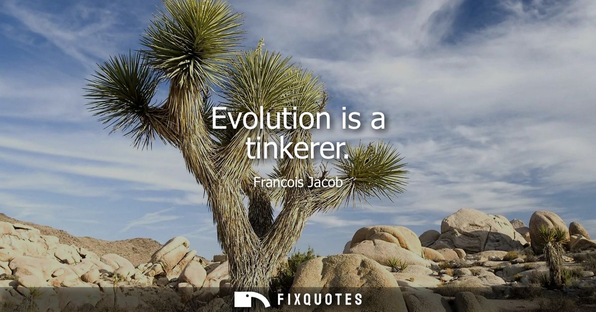 Evolution is a tinkerer