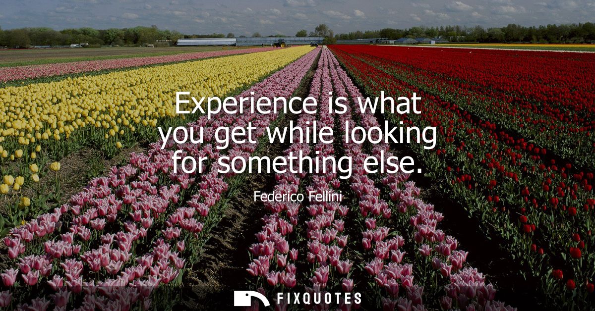 Experience is what you get while looking for something else