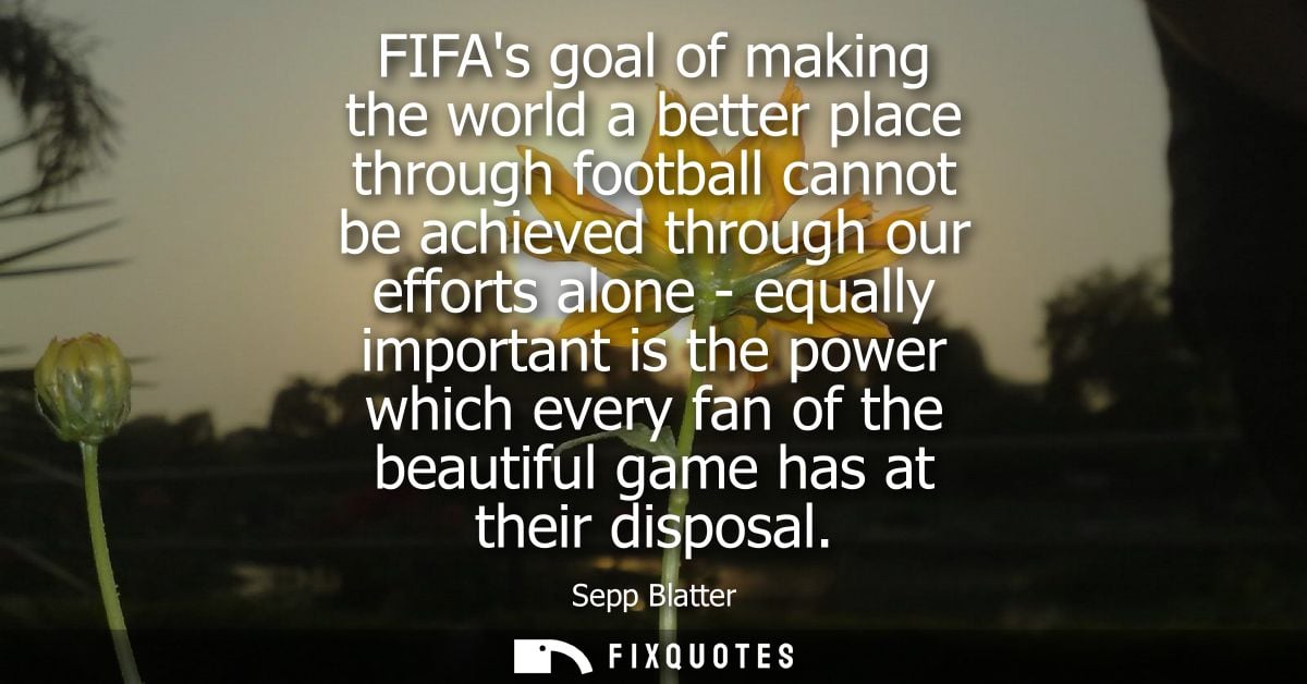 FIFAs goal of making the world a better place through football cannot be achieved through our efforts alone - equally im