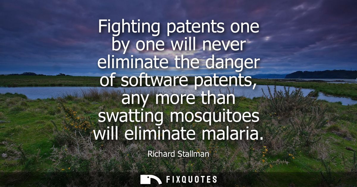 Fighting patents one by one will never eliminate the danger of software patents, any more than swatting mosquitoes will 
