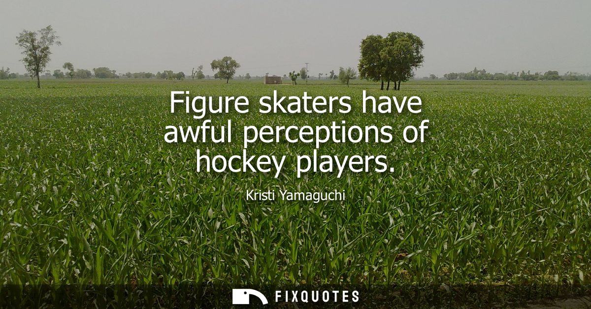 Figure skaters have awful perceptions of hockey players