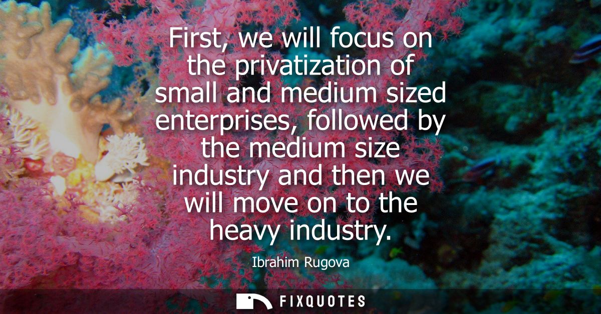 First, we will focus on the privatization of small and medium sized enterprises, followed by the medium size industry an