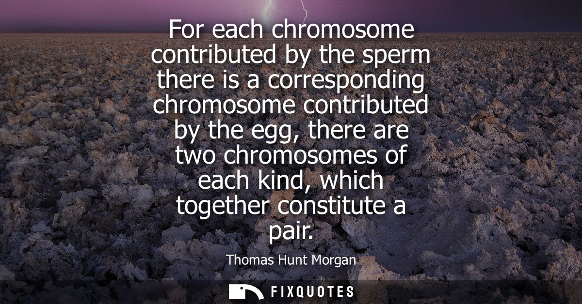 For each chromosome contributed by the sperm there is a corresponding chromosome contributed by the egg, there are two c
