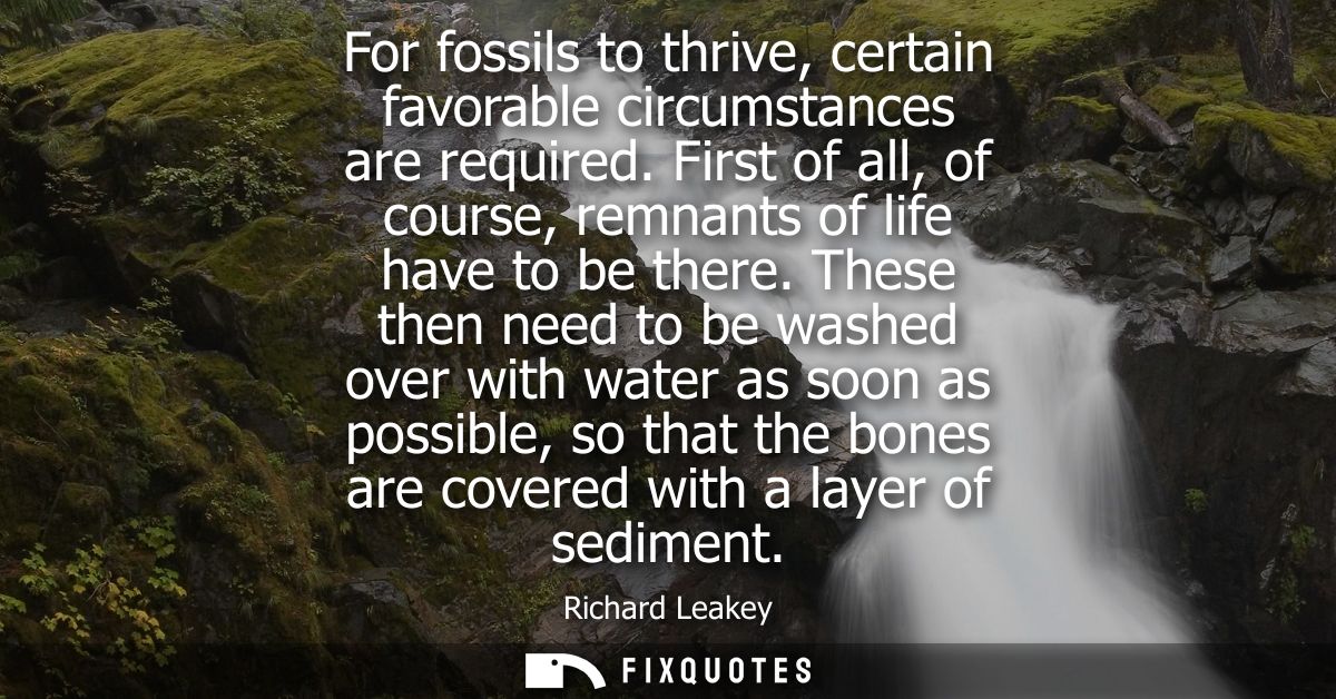 For fossils to thrive, certain favorable circumstances are required. First of all, of course, remnants of life have to b