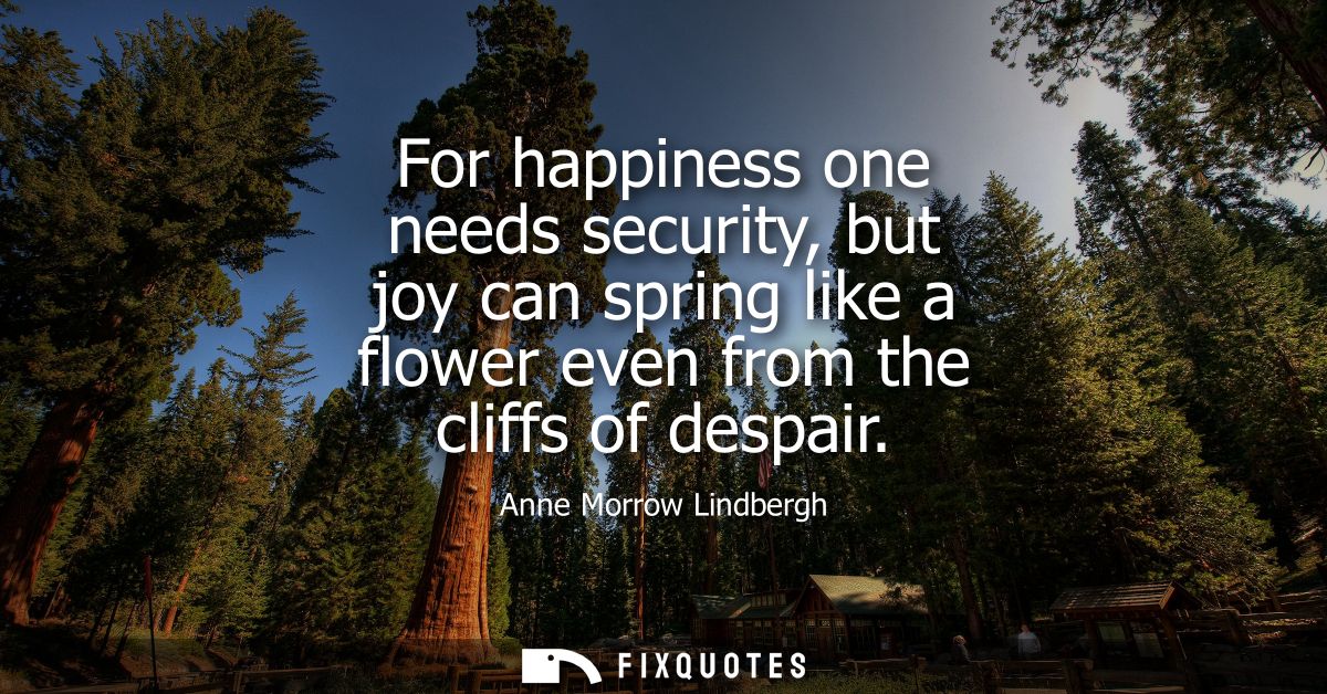 For happiness one needs security, but joy can spring like a flower even from the cliffs of despair