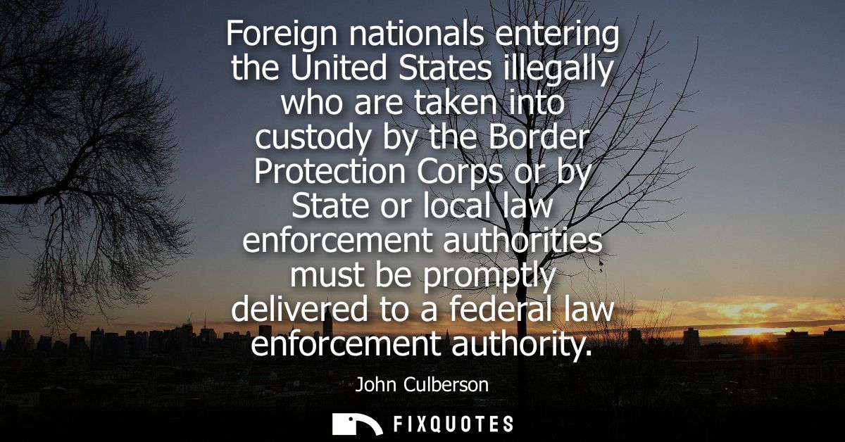 Foreign nationals entering the United States illegally who are taken into custody by the Border Protection Corps or by S