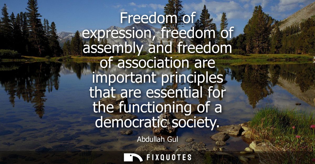 Freedom of expression, freedom of assembly and freedom of association are important principles that are essential for th