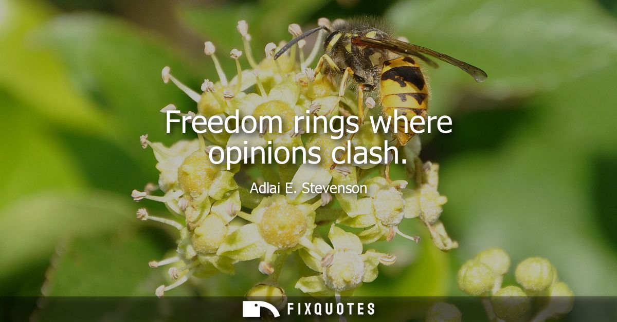 Freedom rings where opinions clash