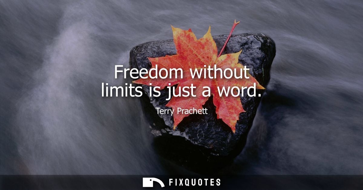 Freedom without limits is just a word