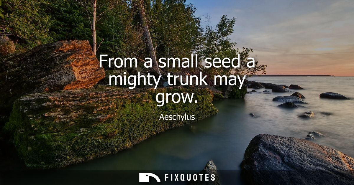 From a small seed a mighty trunk may grow