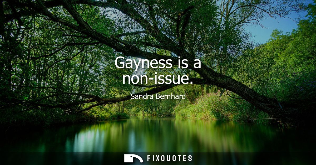 Gayness is a non-issue