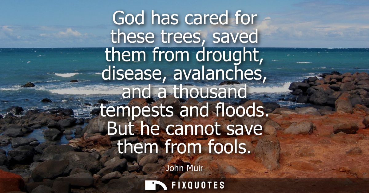 God has cared for these trees, saved them from drought, disease, avalanches, and a thousand tempests and floods. But he 