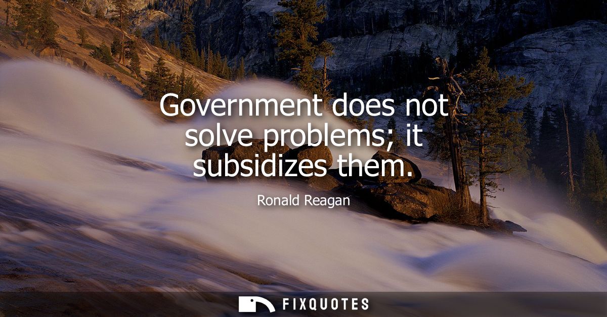 Government does not solve problems it subsidizes them