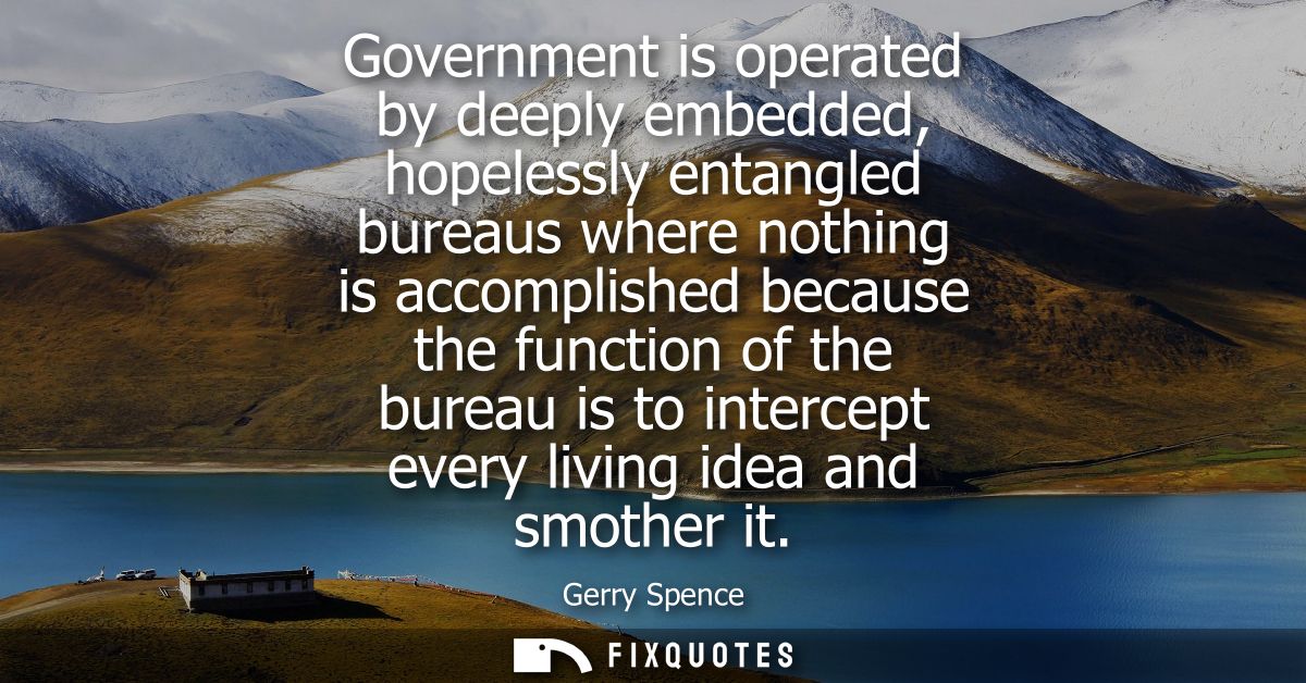 Government is operated by deeply embedded, hopelessly entangled bureaus where nothing is accomplished because the functi