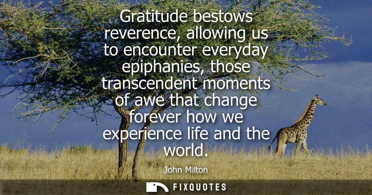 Gratitude bestows reverence, allowing us to encounter everyday epiphanies, those transcendent moments of awe that change