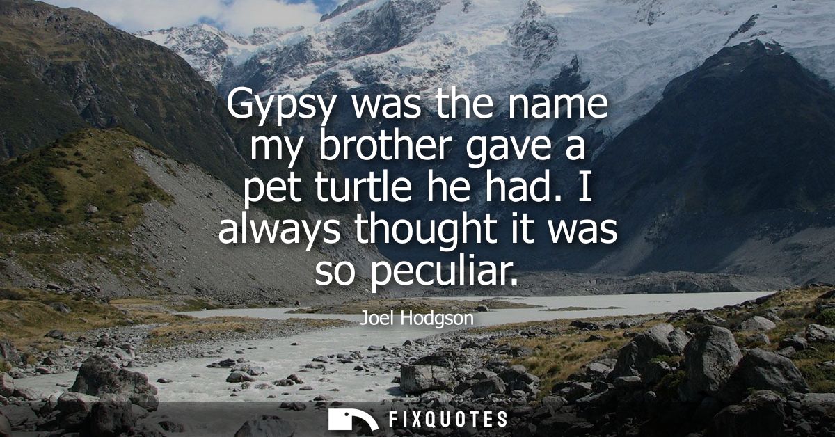 Gypsy was the name my brother gave a pet turtle he had. I always thought it was so peculiar