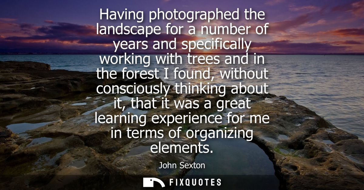 Having photographed the landscape for a number of years and specifically working with trees and in the forest I found, w