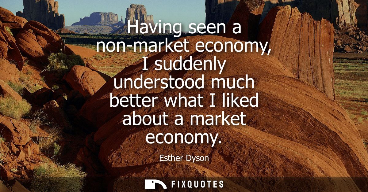Having seen a non-market economy, I suddenly understood much better what I liked about a market economy