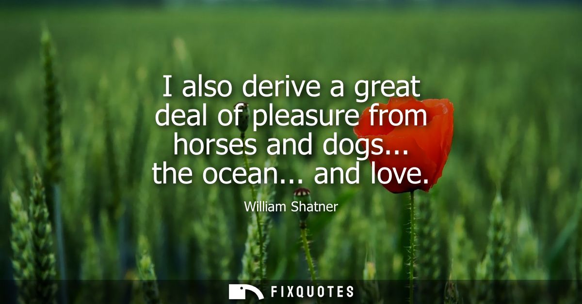 I also derive a great deal of pleasure from horses and dogs... the ocean... and love