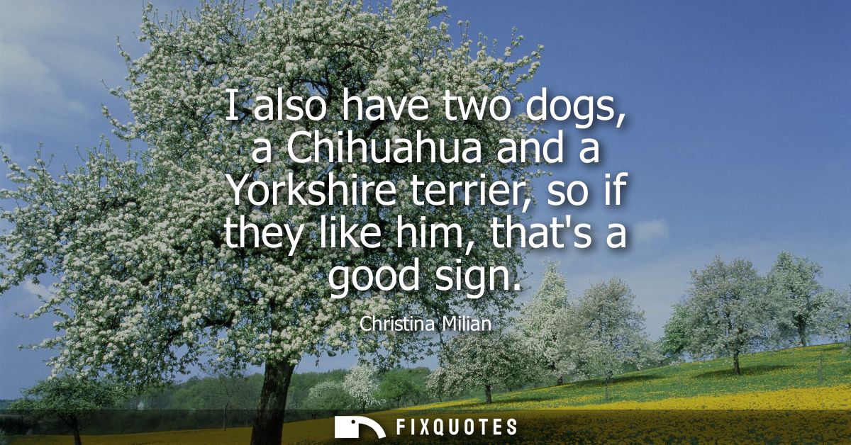 I also have two dogs, a Chihuahua and a Yorkshire terrier, so if they like him, thats a good sign