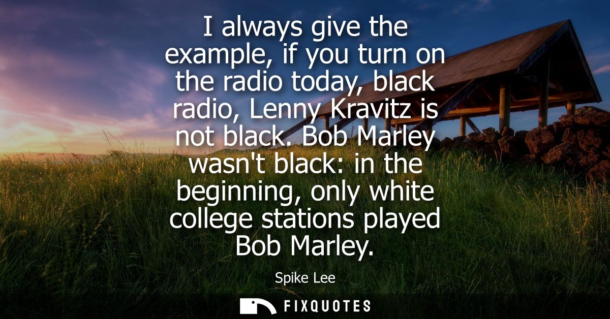 I always give the example, if you turn on the radio today, black radio, Lenny Kravitz is not black. Bob Marley wasnt bla