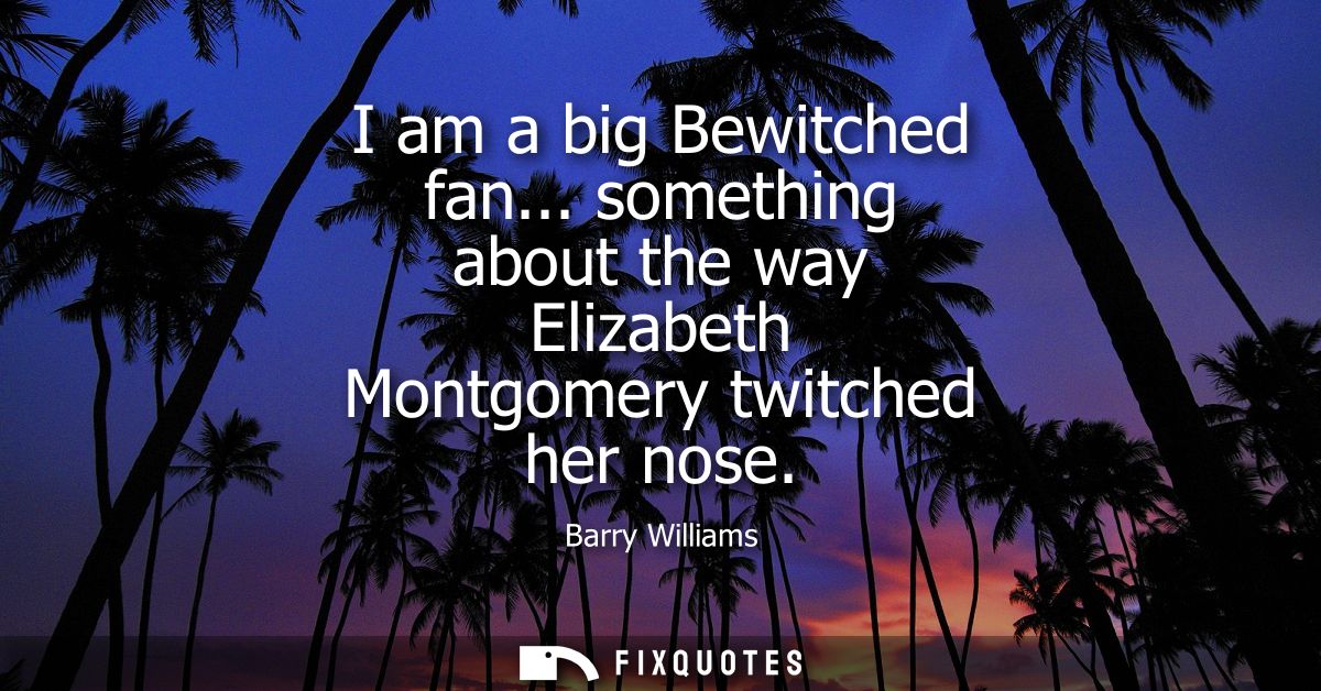 I am a big Bewitched fan... something about the way Elizabeth Montgomery twitched her nose