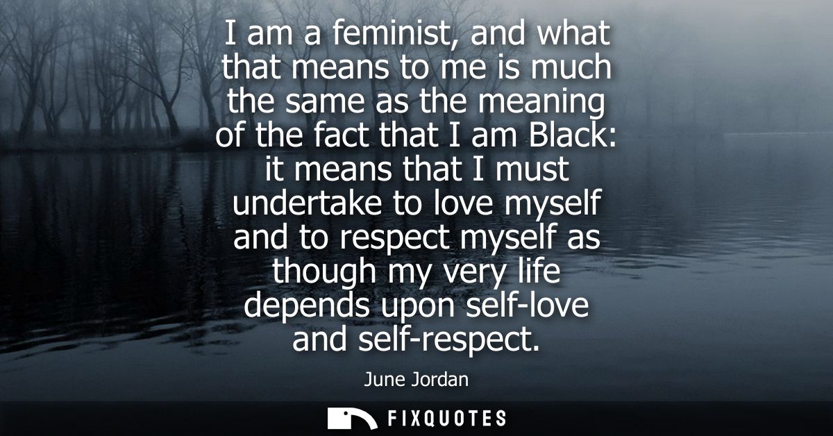 I am a feminist, and what that means to me is much the same as the meaning of the fact that I am Black: it means that I 