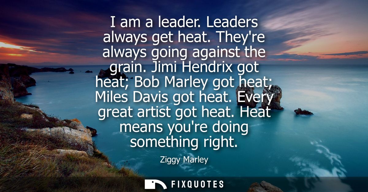 I am a leader. Leaders always get heat. Theyre always going against the grain. Jimi Hendrix got heat Bob Marley got heat