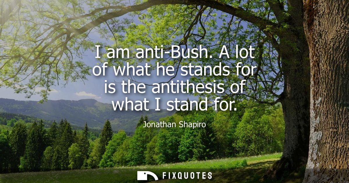 I am anti-Bush. A lot of what he stands for is the antithesis of what I stand for
