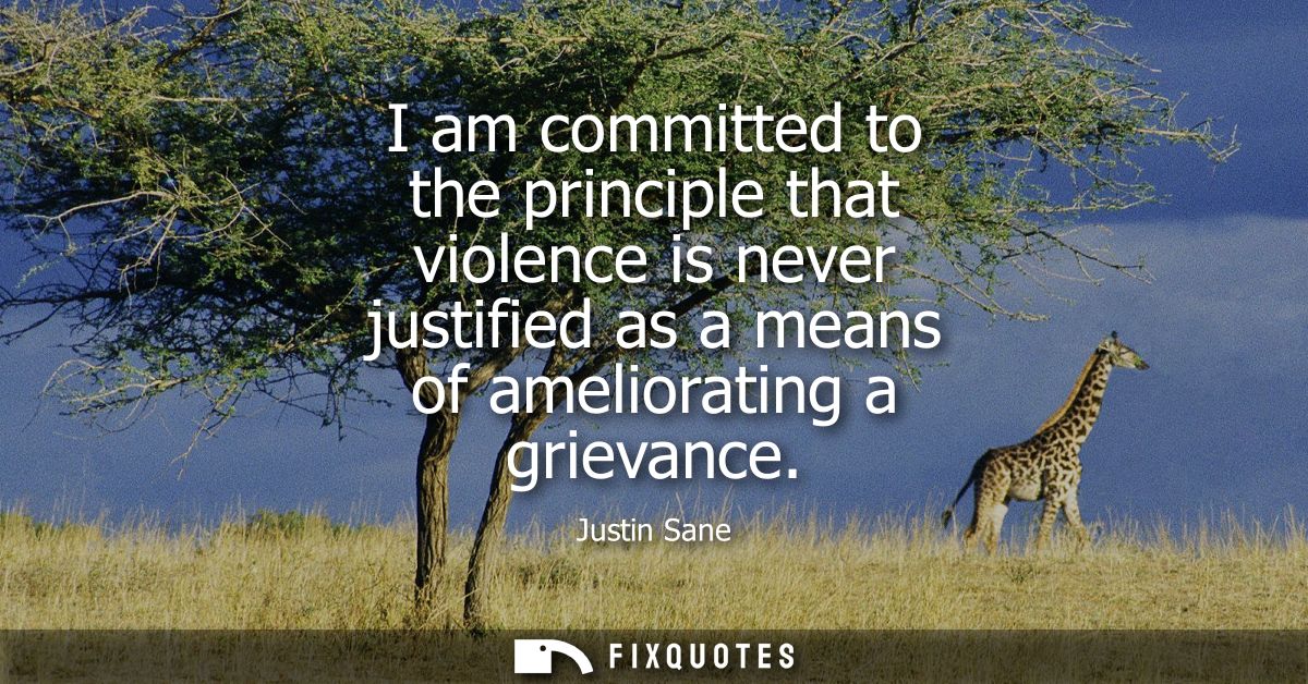 I am committed to the principle that violence is never justified as a means of ameliorating a grievance