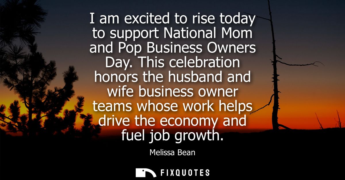 I am excited to rise today to support National Mom and Pop Business Owners Day. This celebration honors the husband and 