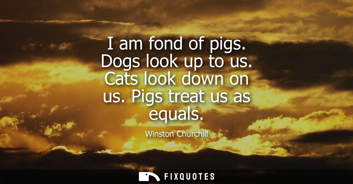 I am fond of pigs. Dogs look up to us. Cats look down on us. Pigs treat us as equals