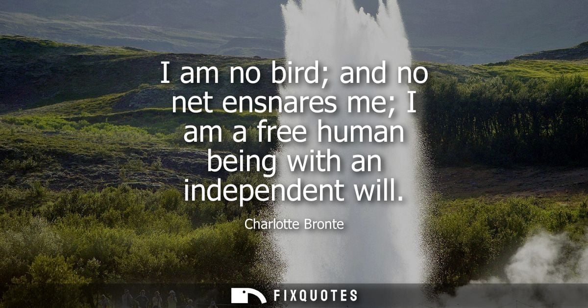 I am no bird and no net ensnares me I am a free human being with an independent will