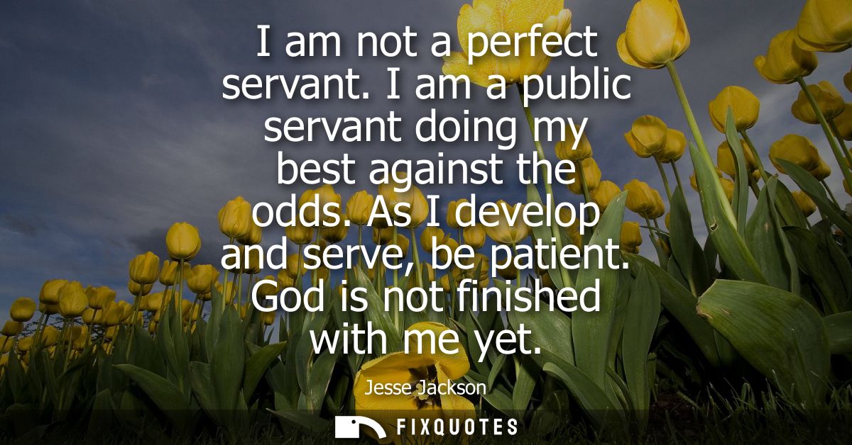 I am not a perfect servant. I am a public servant doing my best against the odds. As I develop and serve, be patient. Go