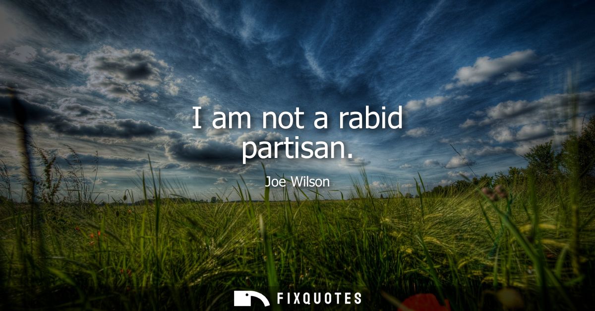 I am not a rabid partisan