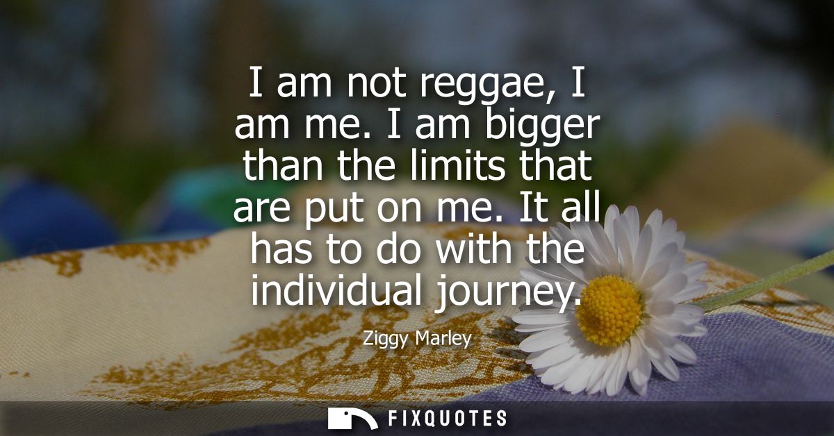 I am not reggae, I am me. I am bigger than the limits that are put on me. It all has to do with the individual journey
