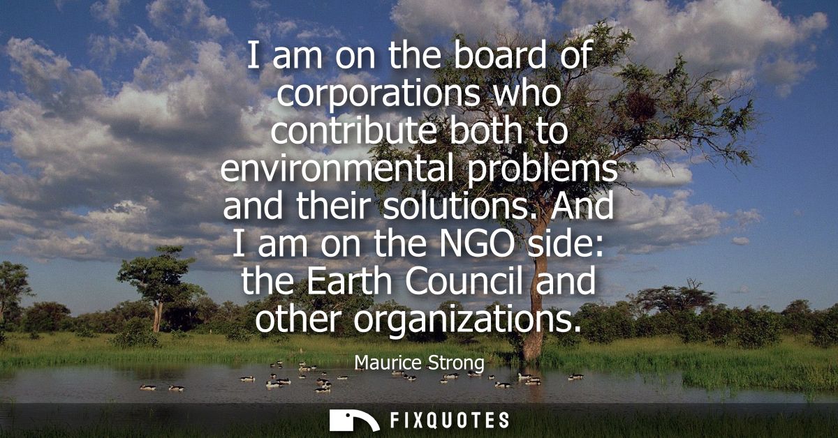 I am on the board of corporations who contribute both to environmental problems and their solutions. And I am on the NGO