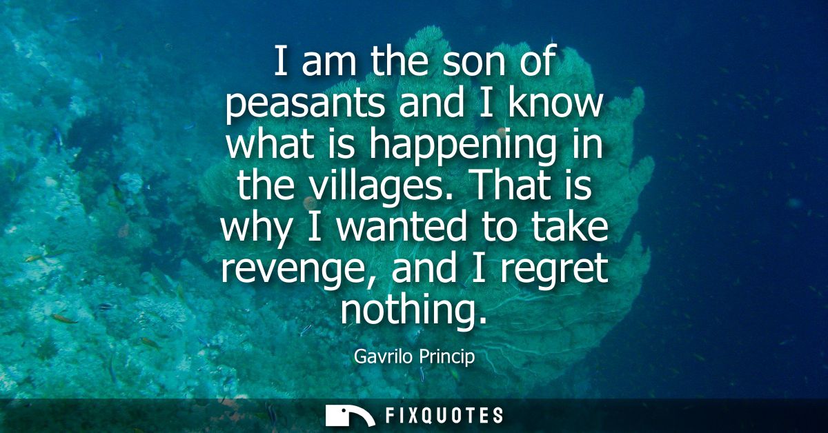 I am the son of peasants and I know what is happening in the villages. That is why I wanted to take revenge, and I regre