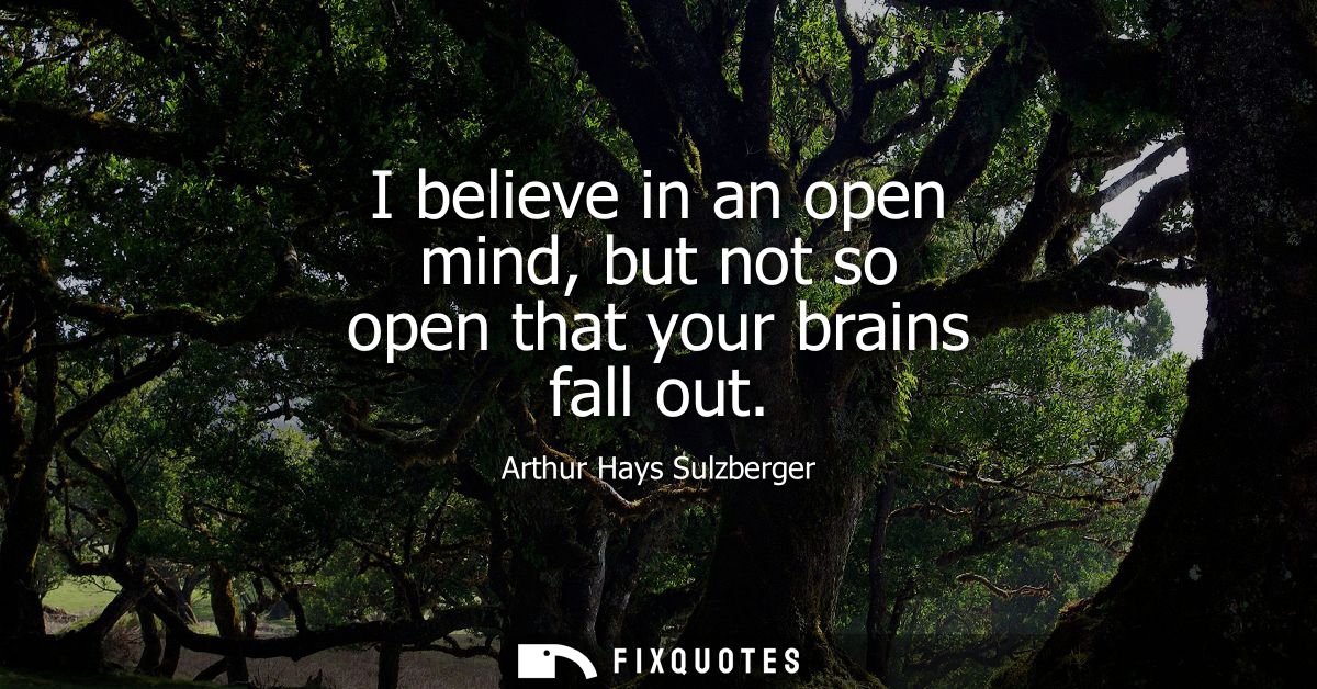 I believe in an open mind, but not so open that your brains fall out
