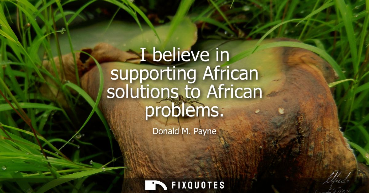 I believe in supporting African solutions to African problems