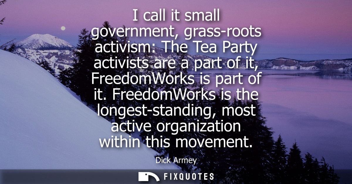 I call it small government, grass-roots activism: The Tea Party activists are a part of it, FreedomWorks is part of it.
