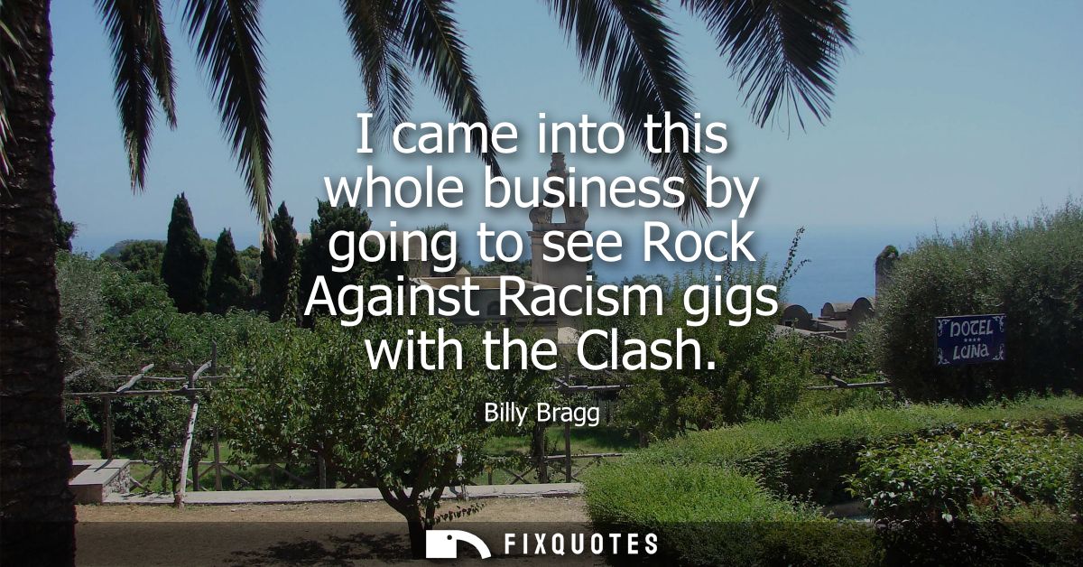 I came into this whole business by going to see Rock Against Racism gigs with the Clash