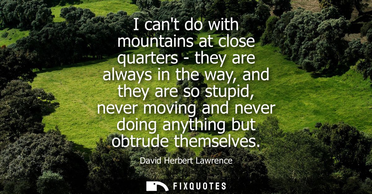 I cant do with mountains at close quarters - they are always in the way, and they are so stupid, never moving and never 