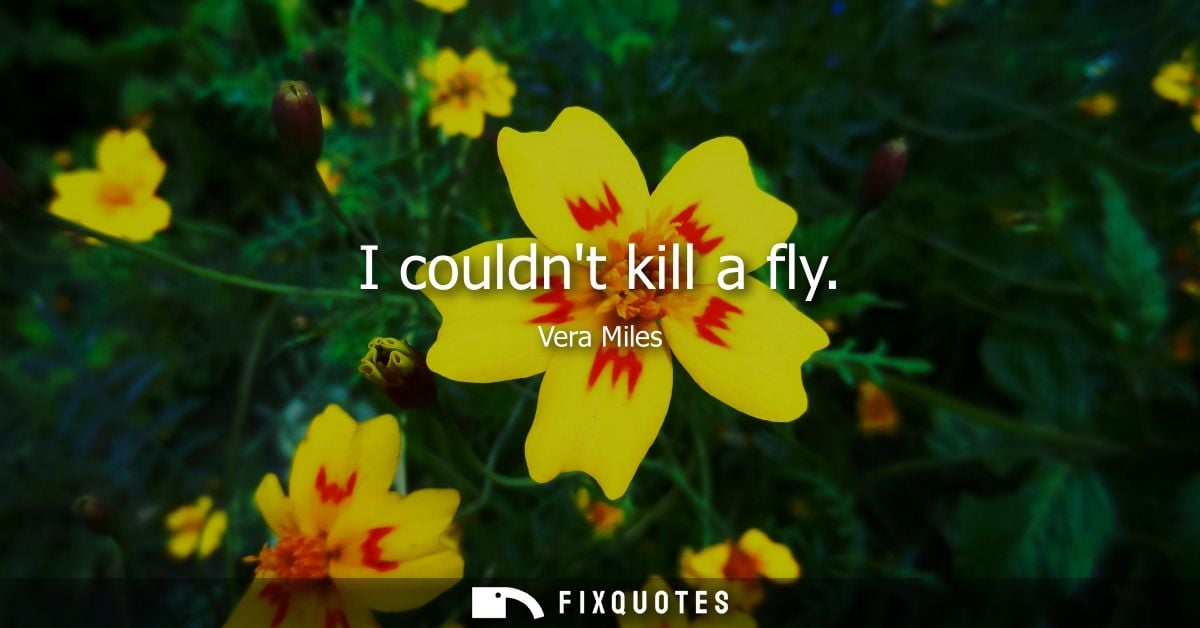 I couldnt kill a fly